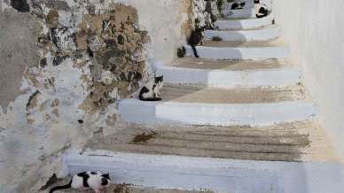 Santorini, itinerari fuori rotta, lontani dall’overtoursim